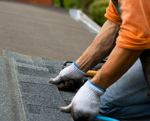 Best Residential Roofing Contractor  in Buckhannon, WV