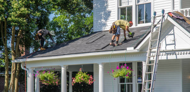 Best Roof Repair Services  in Buckhannon, WV
